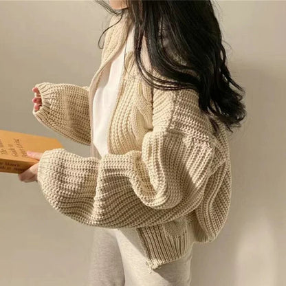 Hnewly FALL OUTFITS Chic Zipper Up Knitted Cardigan Women Autumn Winter Solid Color Twisted Sweater Woman Wild Long Sleeve Jumper Coats Mujer