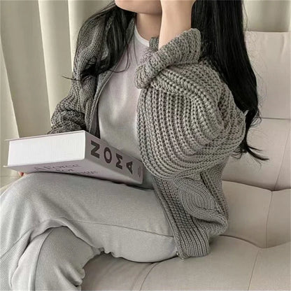 Hnewly FALL OUTFITS Chic Zipper Up Knitted Cardigan Women Autumn Winter Solid Color Twisted Sweater Woman Wild Long Sleeve Jumper Coats Mujer